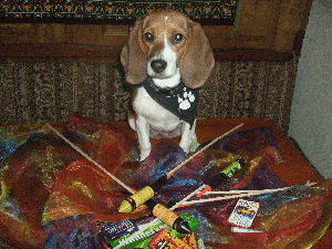 Rosi der Sivesterknaller 004