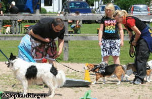 a_Hundefest_Juli_2010_211_1