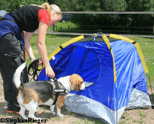 a_Hundefest_Juli_2010_213_1