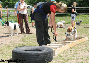 a_Hundefest_Juli_2010_216_1