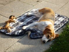 Lea geniet ihre neue Familie in Konstanz