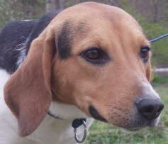 Nora ist nach Srockh�vel gezogen