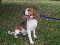 Whootan lebt jetzt in Wadgassen