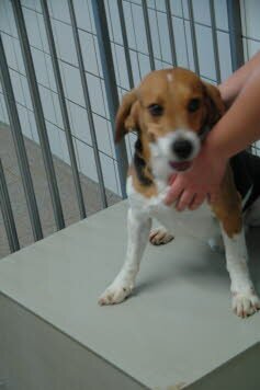 Apollo lebt jetzt in Duisburg