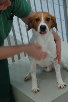 Atze f�hlt sich in seiner neuen Familie sehr wohl