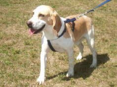 Billy zog nach Ludwigsburg