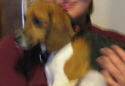 Bella zog nach Zeiskam