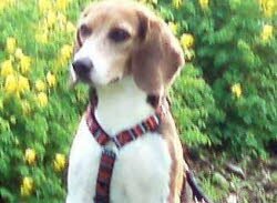 Bile, 4 Jahre, am ersten Tag in ihrer neuen Familie.