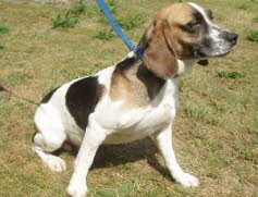 Bubi fand sein neues Zuhause in Jockgrim