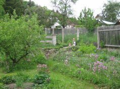 Charlie zog nach Kranichfeld