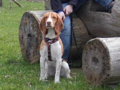 Cora f�hlt sich in Schnufenhofen wohl