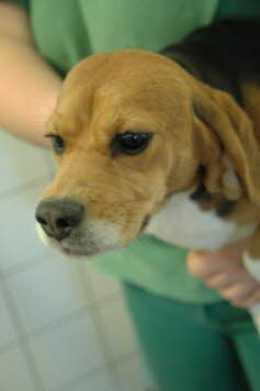 Ella fand ihre Familie in Ostenfeld