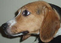 Elly lebt jetzt in der Schweiz