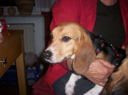 Felix woht und treibt sein Unwesen an der Ostseek&uuml;ste.