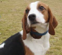 Henry, 1Jahr, wurde freudig empfangen