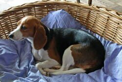 Ida bleibt in ihrer Pflegefamilie. Dort m&ouml;chte sie niemand mehr hergeben.