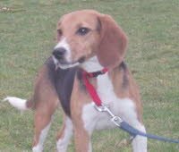 Jessy hat ihre Familie in Alpen (NRW) gefunden.