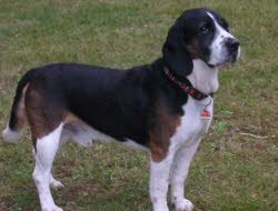 Das ist K&ouml;nig Paul !