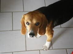 Kalli (4 Jahre)hat seine Familie gefunden