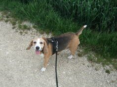 Lu, 10 Jahre, bleibt in ihrer Pflegefamilie