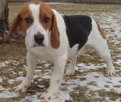 Luis f�hlt sich in Saarlouis wohl