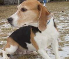 Luna, 8Jahre, ist nach Aalen gezogen.