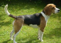 F&uuml;r Maggi (1 Jahr) war Freitag der 13. ein Gl&uuml;ckstag. Sie wurde von ihrer Familie in Gottmadingen mit Spannung erwartet