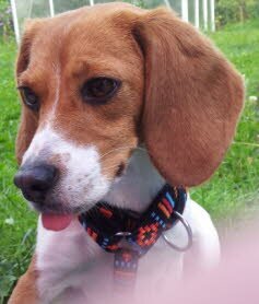 Maila ist gl�cklich in Geislingen eingezogen