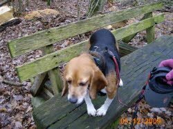 Mandy ist nach Uffenheim gezogen. Sie hat sich sehr schnell eingelebt.