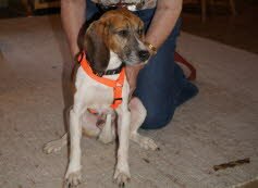 Max wurde in seiner neuen Familie herzlich empfangen