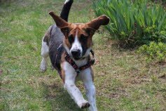 Moe zog nach Hohens�lzen