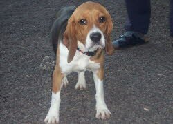 Nele wohnt jetzt in Pisbach