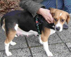 Paula findet Berlin einfach "dufte"