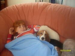 Pino hat sein neues Zuhause in R&ouml;thenbach gefunden.