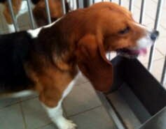 Nemo zog nach Seesen