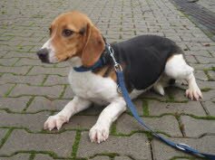 Rudi wurde gespannt erwartet