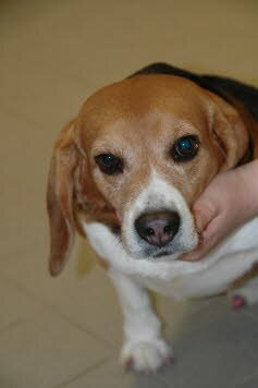 Specky lebt in seiner Familie in Neum�nster