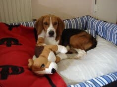 Bernd fand seine Familie in Markgr�nningen