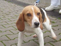 Mia hat ein neues Zuhause gefunden