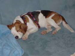 Mex f&uuml;hlt sich in seinem neuen Zuhause von Tag zu Tag wohler