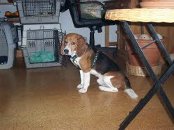 Murphy zog in die N&auml;he von W&uuml;rzburg. Er ist angekommen und die Wohnung geh&ouml;rte ihm!!