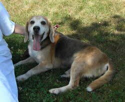 Ronny erlebt seinen 10.Geburtstag mit seiner neuen Familie in Esslingen. "Alles Gute, Ronny"